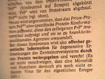 b_bock_von_w